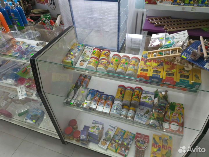 Попугаи неразлучники розовощекие зеленые