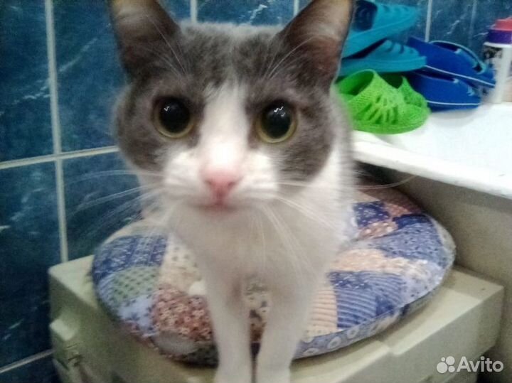 Малышка девочка Даша