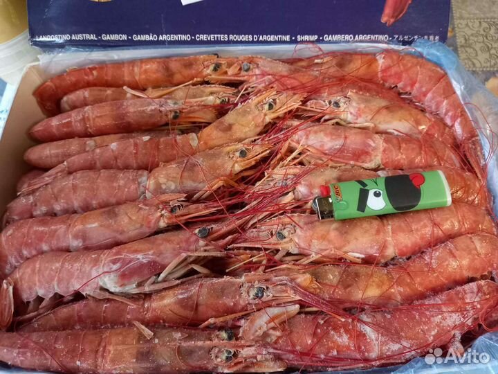 Лангустины. Креветки