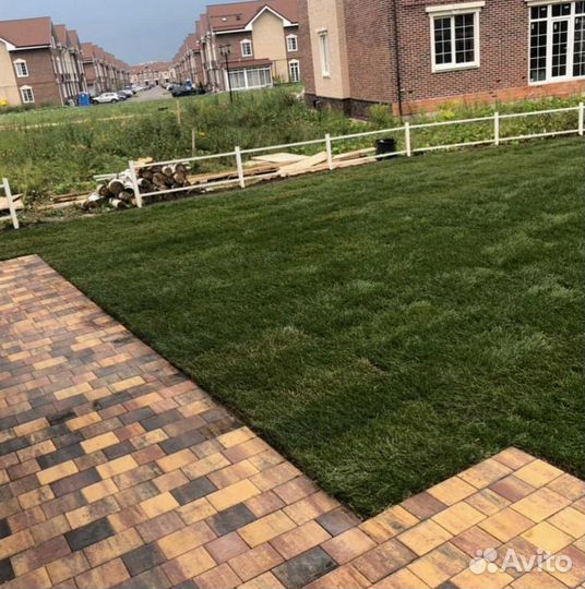 Рулонный газон