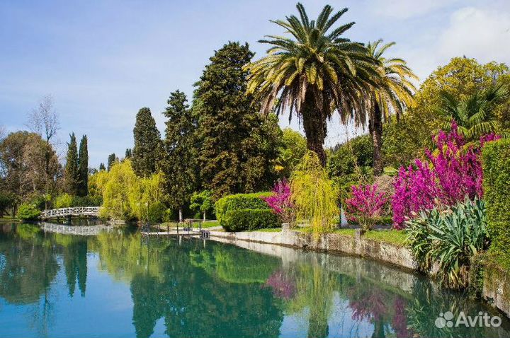 Путевка Абхазия семь нч. от 1-го человека