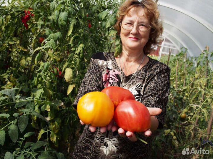 Сборщик овощей. Вахта с бесплатным проживанием