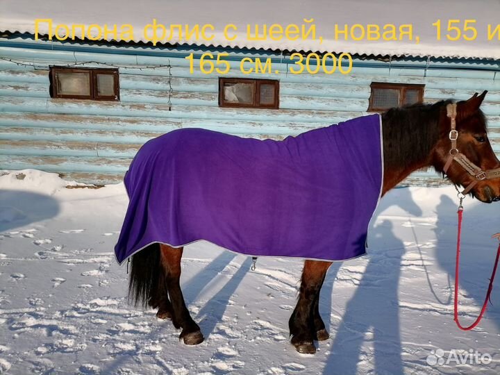 Амуниция для лошади:трензель,мех,попона