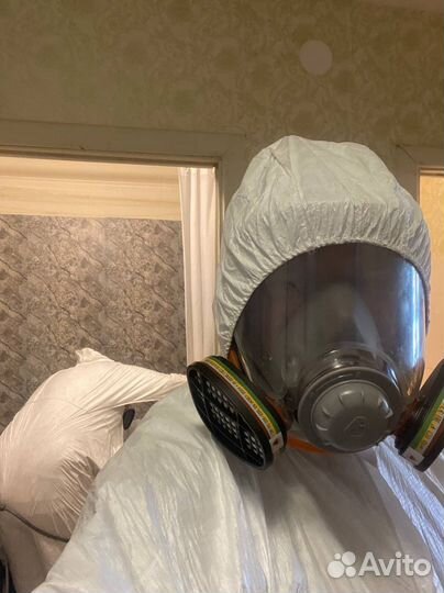 Дезинфекция Дезинсекция