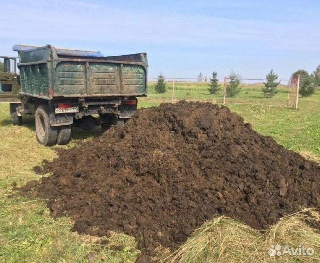 Навоз бесплатно