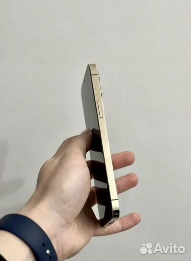 iPhone 12 Pro Max, 256 ГБ