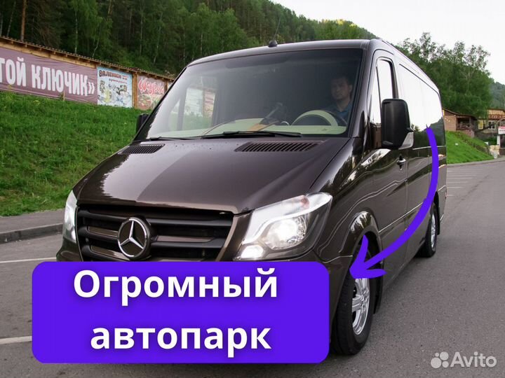 Трансфер, перевозка. Аренда/заказ микроавтобуса