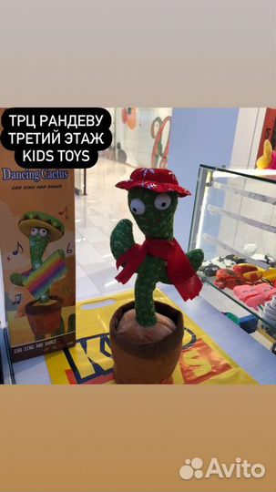 Танцующий Кактус в Магазине