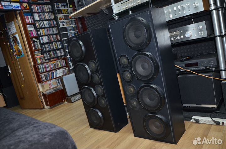 Большие напольные колонки Pioneer (Tonsil)