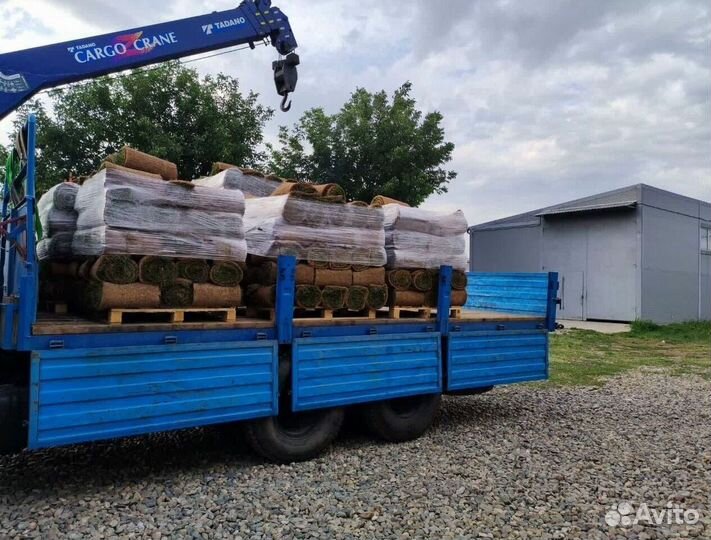 Купить рулонный газон премиум качества