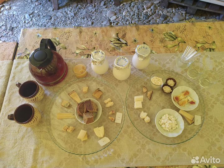 Дегустация крафтовых козьих сыров