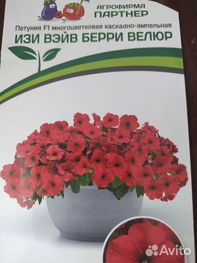 Черенки каскадной петунии