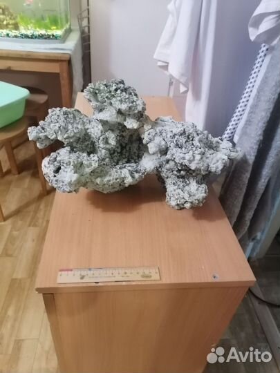 Декорации в аквариум коралл