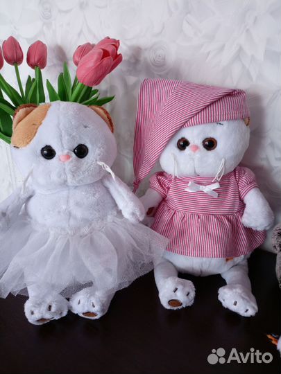 Кот Басик и кошечка лили