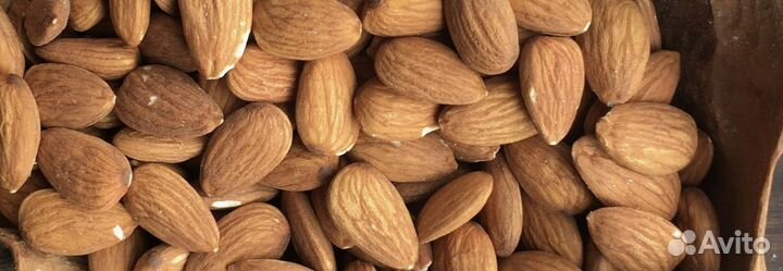 Миндаль золотой