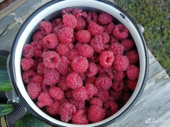 Продам малину