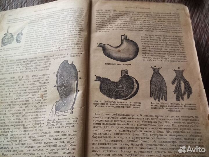 Книга по медецине, дореволюционная