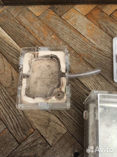 Муравьиная ферма для муравьев