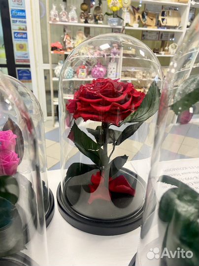 Роза в колбе