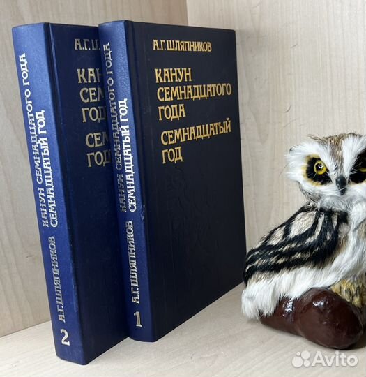 Шляпников А.Г. Канун семнадцатого года. Семнадцаты