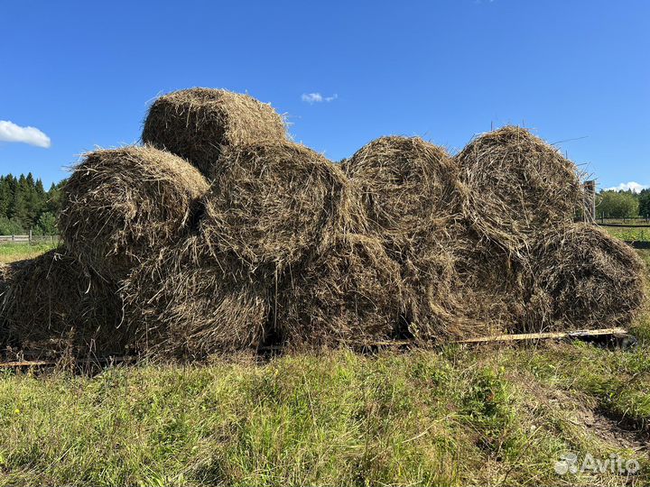 Сено в рулонах