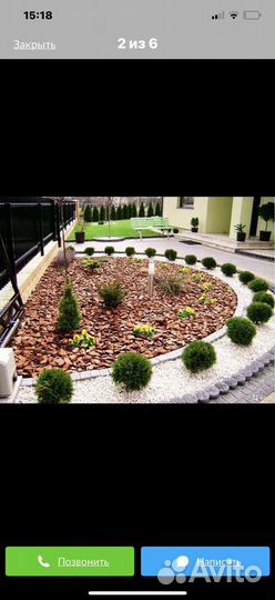 Кора лиственницв