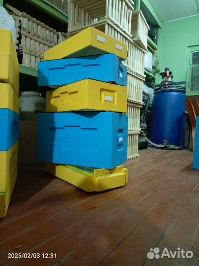 Улей 6 рамок ппс Лысонь