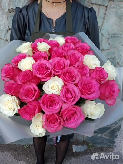 Роза эквадор по акции томск