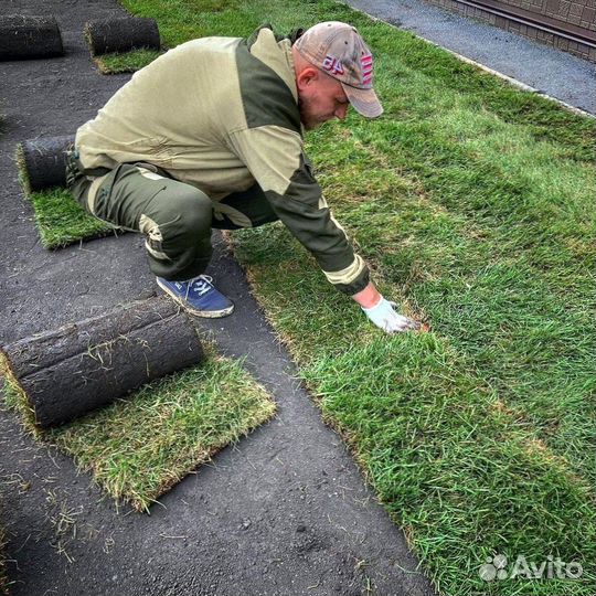 Укладка рулонного газона под ключ, производитель