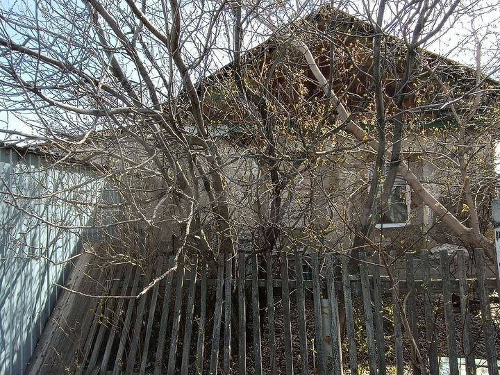 Дом 40 м² на участке 29 сот.