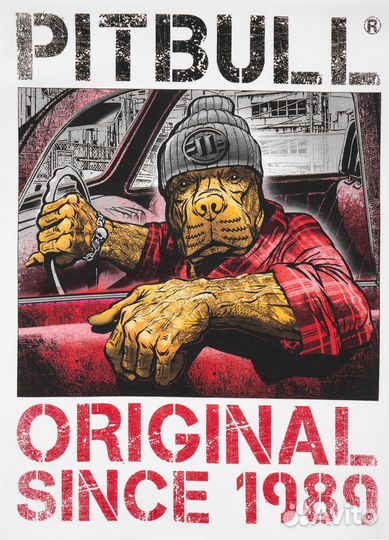 Футболка pitbull Drive White