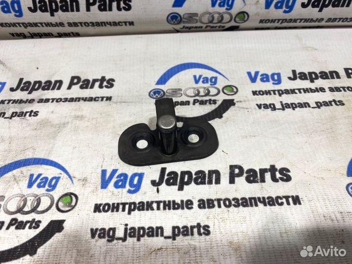 Петля двери багажника Volkswagen Tiguan NF CCZ