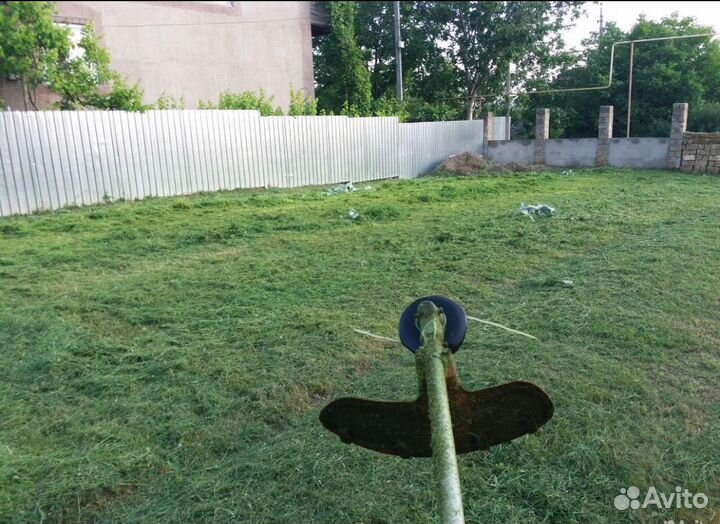 Спил деревьев