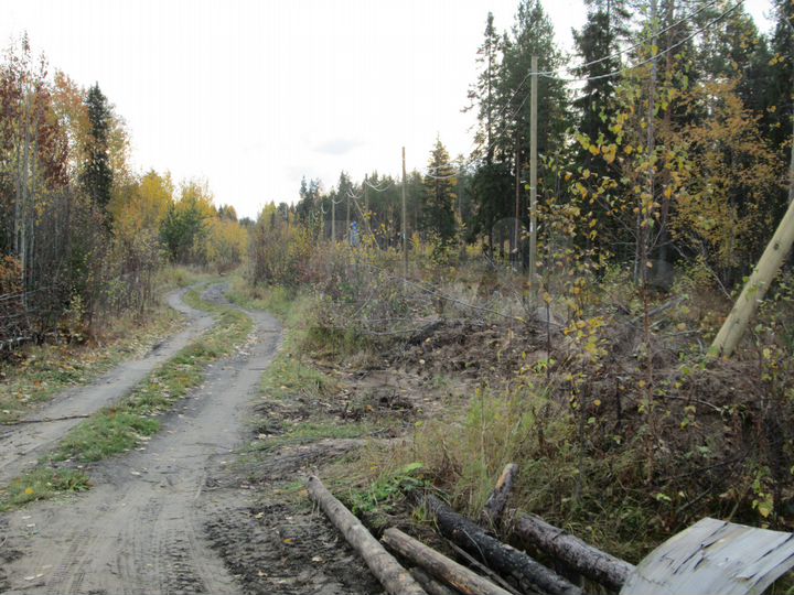 Участок 16 сот. (ИЖС)