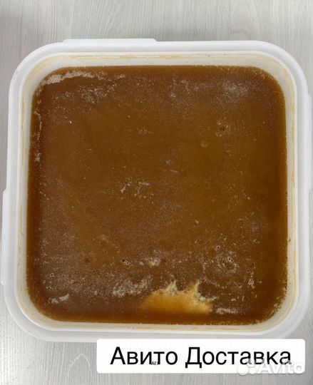 16 kg мёда 24 года из Алтая опт