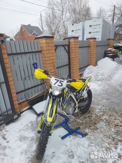 Avantis fx lux 250