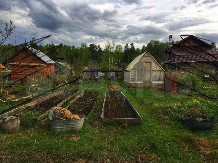 Участок 4 сот. (СНТ, ДНП)