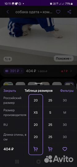 Одежда для собак мелких пород