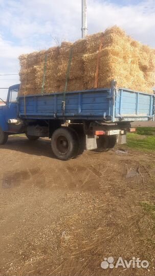 Солома в тюках имеется доставка