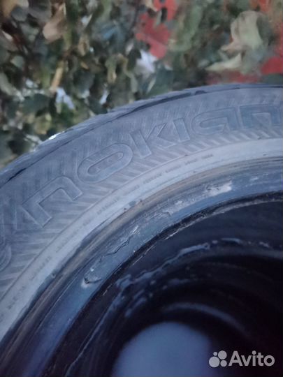 Nokian Tyres WR 215/55 R16
