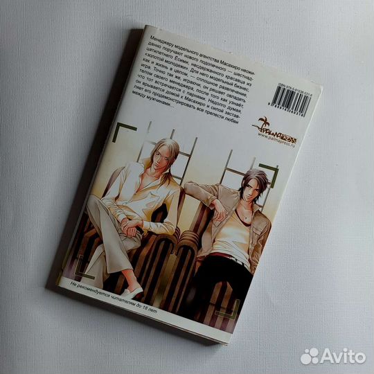 Ранобэ, манга