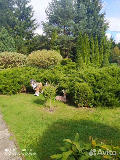 Беседка с мангалом аренда