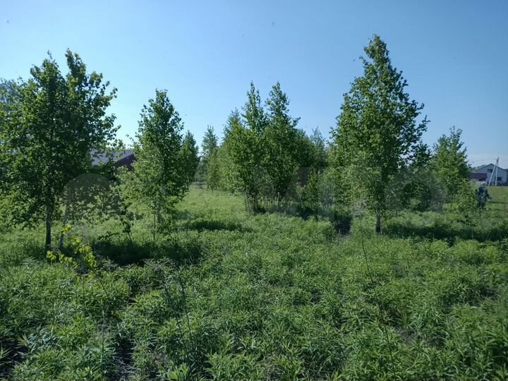 Участок 10 сот. (ИЖС)