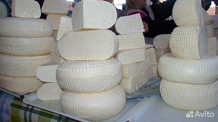 Продам сыр сулугуни, брынза, чечил, адыгейский