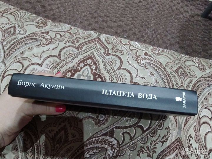 Абсолютно новая книга Акунина