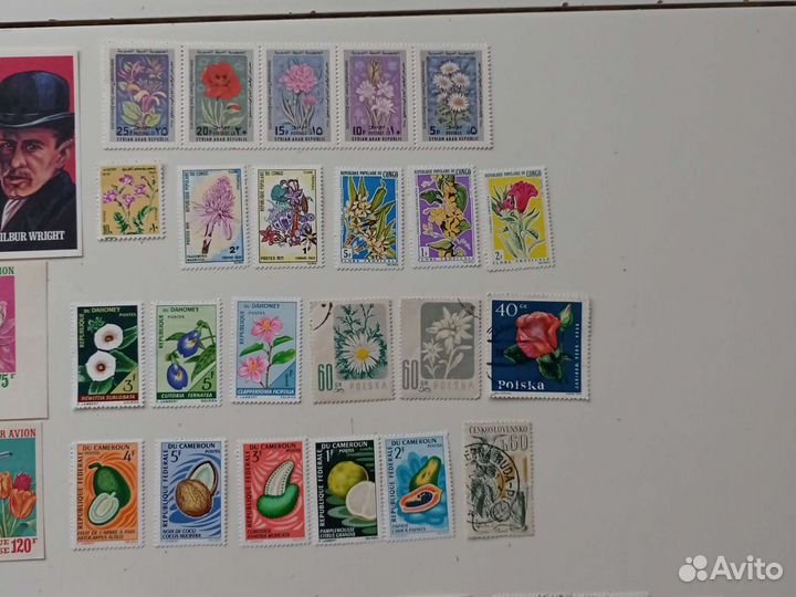 Марки, Флора