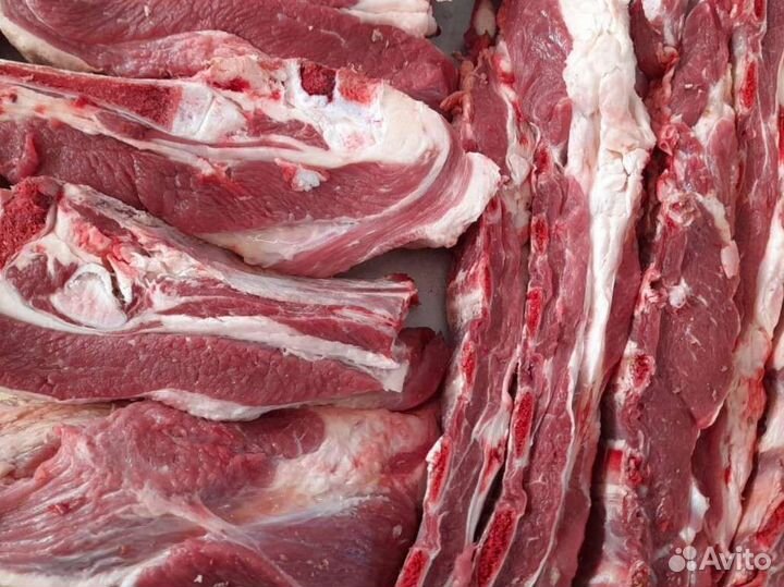 Мясо говядина свежее
