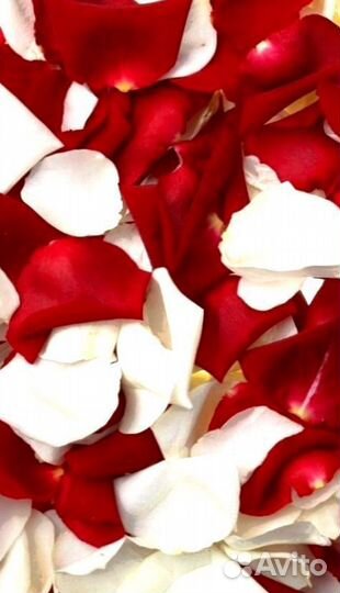 Лепестки роз