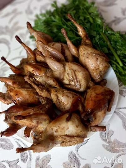 Мясо перепела