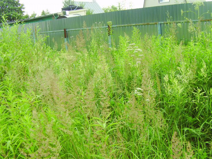 Дача 49 м² на участке 16 сот.